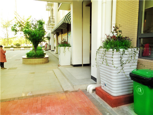 漢陽-芳草路小學.jpg